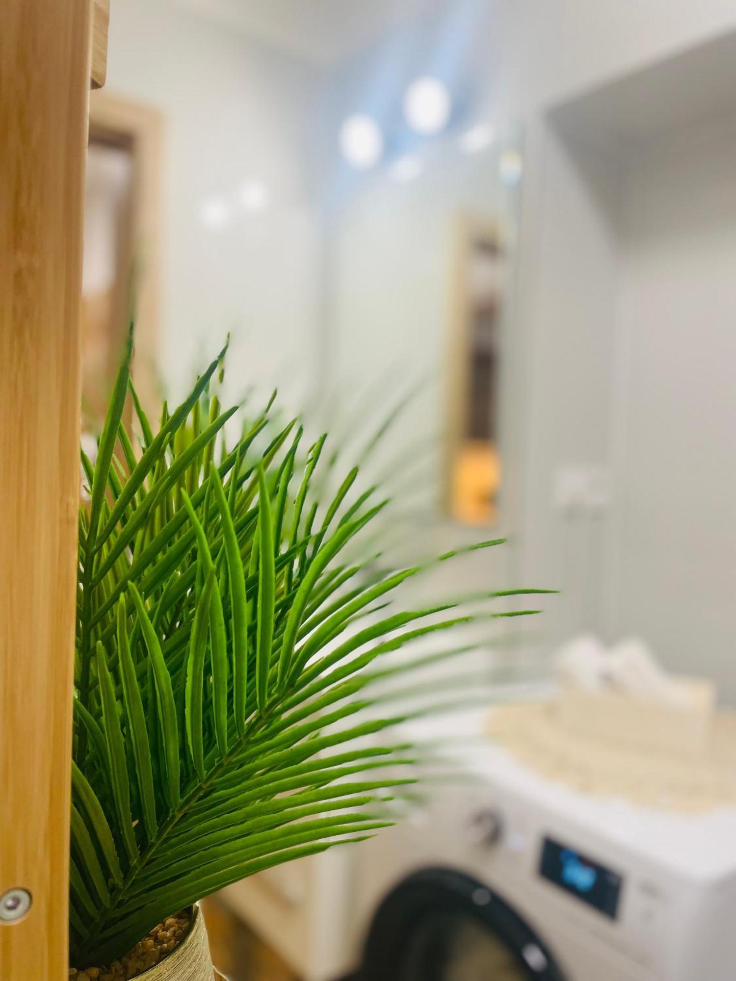 Labela Apartment